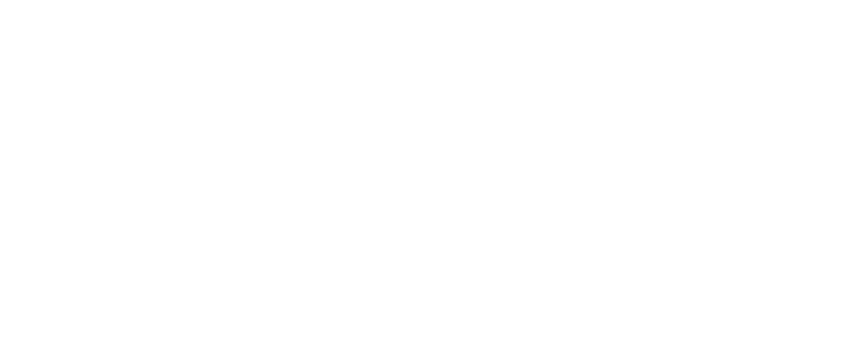 Image Globe Solutions Logo